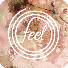 logo Feel